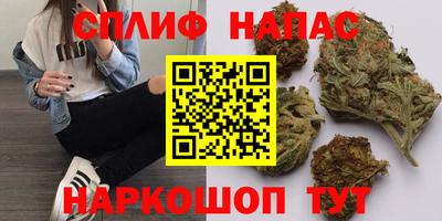 не бодяженный Кингисепп