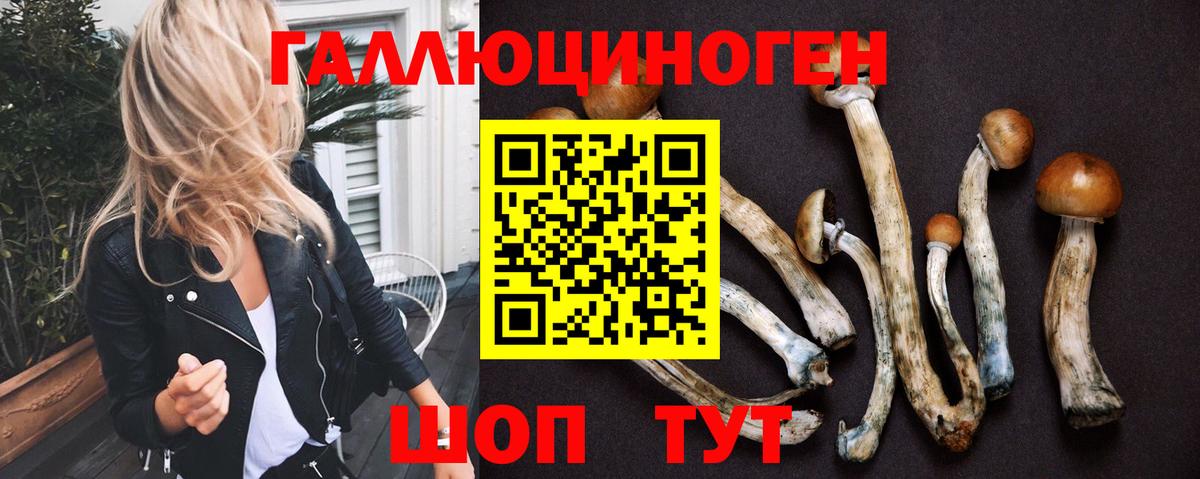 Псилоцибиновые грибы прущие грибы Конаково